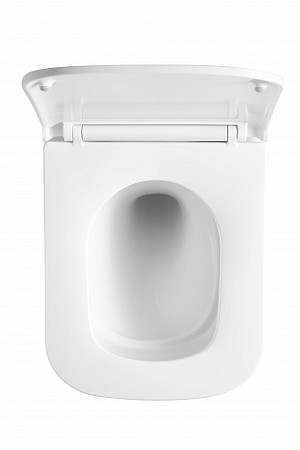 Подвесной унитаз безободковый Terminus Ватикан Монолит 490х340 белый Ишимбай - фото 3